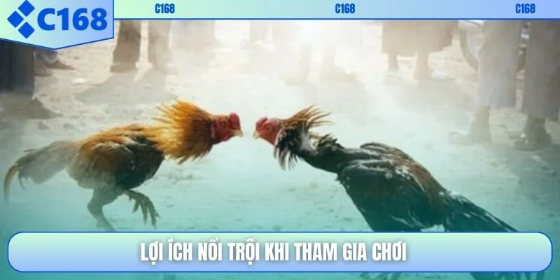 Lợi ích nổi trội khi tham gia chơi